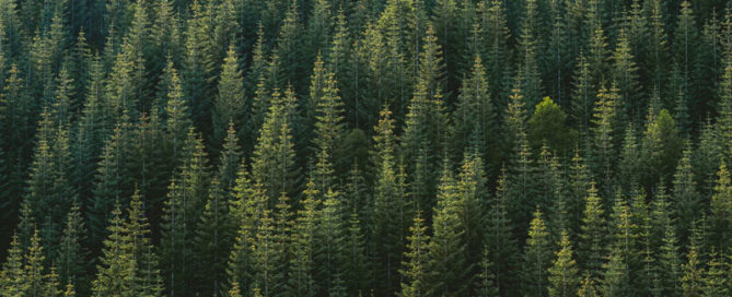 Sustainable Printing